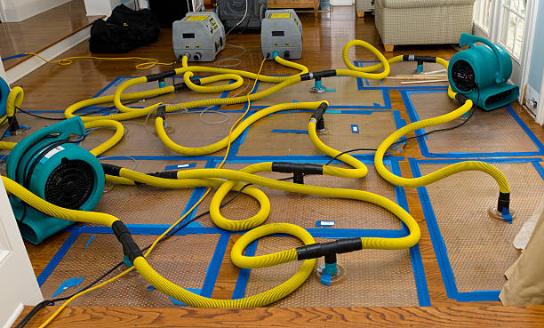 Professional Basement Flood Cleanup technician working in Rimrock, AZ